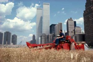 Agnes Denes. Wheatfield - A Confrontation: Battery Park Landfill, Downtown Manhattan. 1982. Vintage Cibachrome print. 16 x 20 inches (sheet size). © Agnes Denes. Courtesy Leslie Tonkonow Artworks + Projects, New York. Agnes Denes. Wheatfield - A Confrontation: Battery Park Landfill, Downtown Manhattan. 1982. Vintage Cibachrome print. 16 x 20 inches (sheet size). © Agnes Denes. Courtesy Leslie Tonkonow Artworks + Projects, New York.