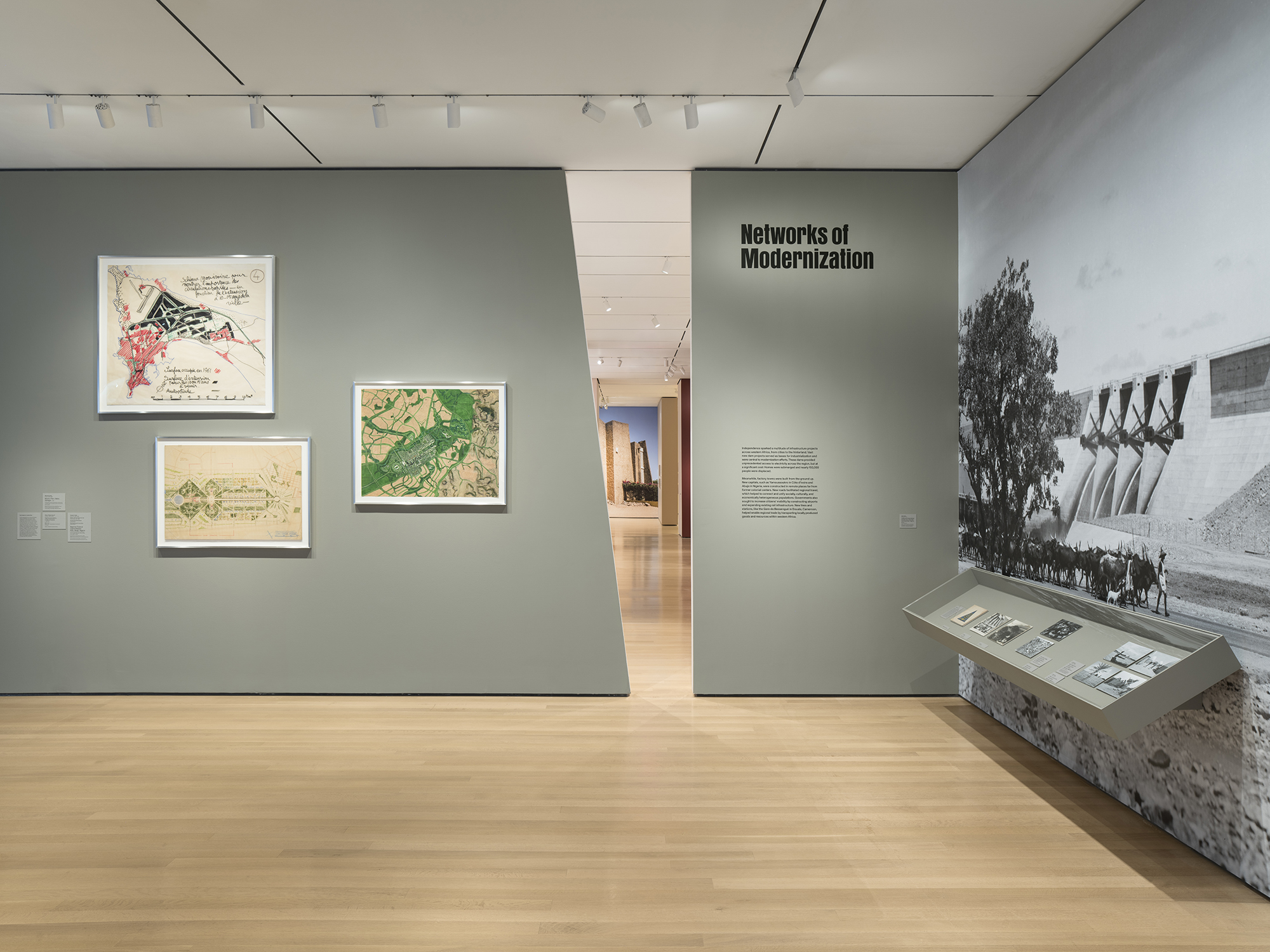 Architects of Liberation, MoMA